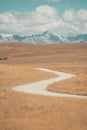 Road in the middle of nowhere in New Zealand Royalty Free Stock Photo