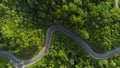 A road in the middle of a tropical rain forest Royalty Free Stock Photo