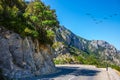 The road and migrating cranes Royalty Free Stock Photo