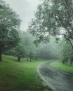 Misty roads in rainy day Royalty Free Stock Photo