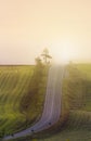 Road through misty Tuscany Italy meadows on a dramatic winter season day Royalty Free Stock Photo