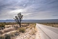 Road through the Mojave desert, California Royalty Free Stock Photo