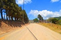 Road on Monteverde, Puntarenas Costa rica