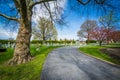 Road at Mount Olivet Cemetery in Frederick, Maryland. Royalty Free Stock Photo