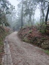 Road in the mountain