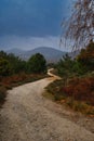 road mountain landscape scenic cloud nature outdoor tree autumn