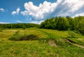 Road through mountain meadow among forest Royalty Free Stock Photo