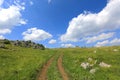 Road on mountain's meadow Royalty Free Stock Photo