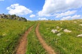 Road on mountain's meadow Royalty Free Stock Photo