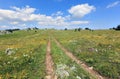 Road on mountain's meadow Royalty Free Stock Photo