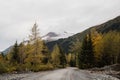 Road in the mountains during autumn in Alaska Royalty Free Stock Photo