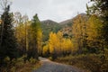 Road in the mountains during autumn in Alaska Royalty Free Stock Photo