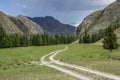 Road in mountains at cloudy rainy sky background with herd of grazing cows Royalty Free Stock Photo