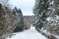 The road in the mountains is covered with snow. On the side of the road are fir trees and different shrubs. Winter landscape with Royalty Free Stock Photo