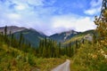 Road into the mountains through forest and meadows. Green hills, blue sky, white clouds.