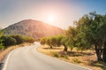 Road between the mountains and groves of olive trees Royalty Free Stock Photo