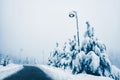 Road in the mountains in misty morning Royalty Free Stock Photo