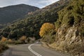 Road in the mountains Royalty Free Stock Photo