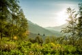 Road among the mountains in the summer. Rosa Khutor, Adler