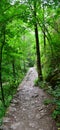 Road through mountains - Turda pass