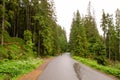 The road in the mountains. Walking People walk in the mountains.