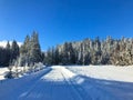 Winter landscape - road, glade and spruce forest covered with fresh snow