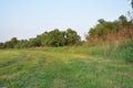 The road on the mown meadow Royalty Free Stock Photo