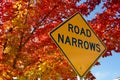 Road Narrows sign in front of red and yellow maple tree Royalty Free Stock Photo