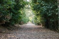 A road in the nature. Royalty Free Stock Photo