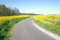 Road in nature reserve The Vlietlanden in Leidschendam, The Netherlands, with colza flowers rapeseed in the springtime Royalty Free Stock Photo