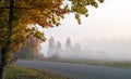 Road near the autumn trees. Misty autumn landscape.