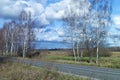 Road near by birch at autumn length of time Royalty Free Stock Photo