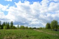 Road near the forest. Deciduous trees, young foliage and grass. Cloudy sky Royalty Free Stock Photo