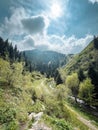 the road near the river in the mountains on a summer day. view from the mountain to the forest landscape Royalty Free Stock Photo