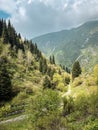 the road near the river in the mountains on a summer day. view from the mountain to the forest landscape Royalty Free Stock Photo