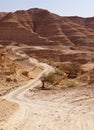 Road Through Negev Desert Hills Royalty Free Stock Photo