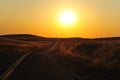 Road in Nevada desert Royalty Free Stock Photo