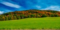 Road of New England in foliage season, USA Royalty Free Stock Photo