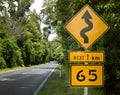 Road through New Zealand native bush Royalty Free Stock Photo