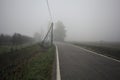 Road next to fields with trees at its edge on a foggy day in the italian countryside Royalty Free Stock Photo