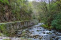 Road next to a Mountain Stream in the Great Smokey Mountains Royalty Free Stock Photo