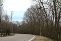 Road next to a park with bare trees in the italian countryside in winter Royalty Free Stock Photo