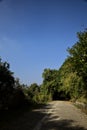 Road next to a slope that leads to a grove with a clear sky as background Royalty Free Stock Photo