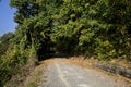 Road next to a slope that leads to a grove with a clear sky as background Royalty Free Stock Photo