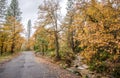 A road next to a stream in Castle Crags State Park in Northern California Royalty Free Stock Photo