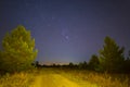 road through night forest under Orion constellation Royalty Free Stock Photo