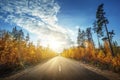 Road in north forest in autumn