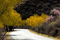 On the road, Nyingchi, Tibet Royalty Free Stock Photo