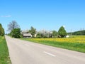 Road , old homes and spring plants, Lithuania