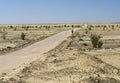 Road in Oman Desert